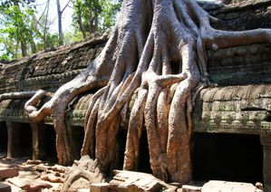 ta phrom6