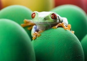 803850-paques-grenouille.jpg