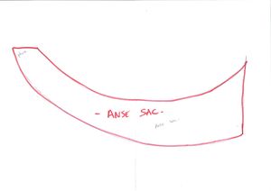 sacreversible anse jpg
