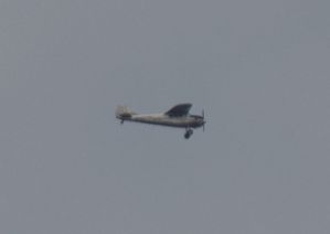 IMGP7030.JPG