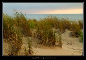 Cote Sauvage