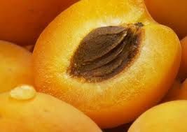 abricot.jpg