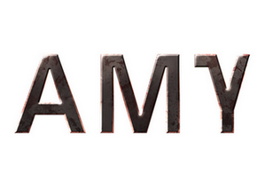 amy logo final-Small