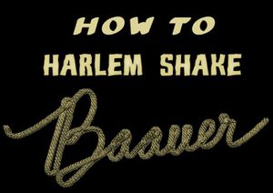 Harlem-Shake-Baauer