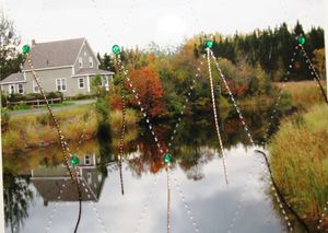 mailart-furlotte-theme-riviere2010-026.jpg