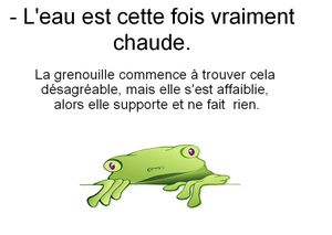 sans titre11
