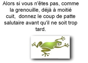 sans titre22