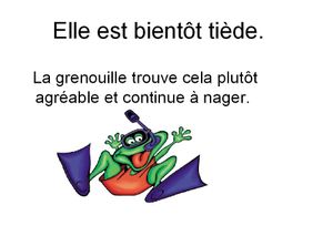 sans titre8