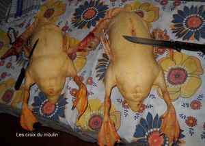 Le foie gras de Josette