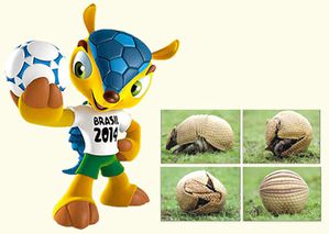 fuleco.jpg