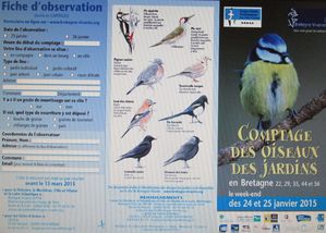 015r Dépliant a Comptage Oiseaux 2015