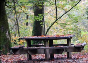 table-d-automne.jpg