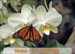 Francine.jpg