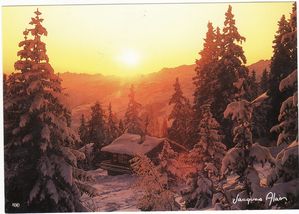 IMG-copie-2.jpg