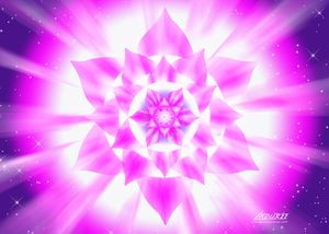 rose-lotus20.jpg