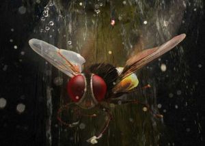 eega-success.jpg