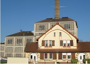 image-12.jpg