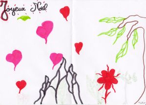 matteo 24-12-9