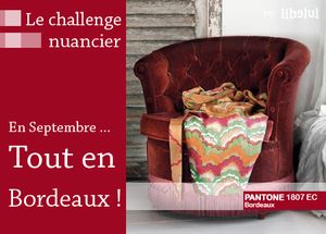 libelul-banner-challenge-nuancier-201109