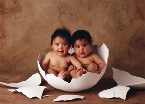 eclosion jumeaux