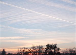 cielBIS.jpg