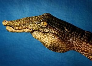 crocodile-peinture.jpg