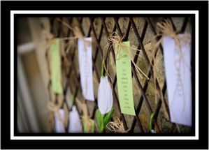 Décoration mariage champêtre vert et blanc plans de table 1B2F