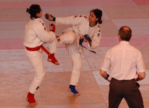 open jujitsu Nantes 2010 (29)