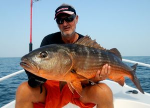 mullet snapper (600x433)