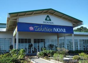 usine morinda