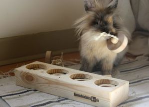 jeu-einsteinchen-06-mini.jpg