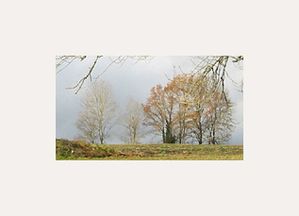 Photo-DESTAL-extrait-.jpg