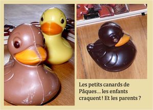 Canards-de-paques.jpg