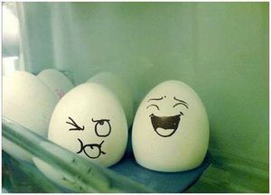 oeuf09