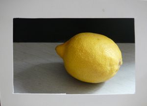nature-morte-citron-cadre.JPG