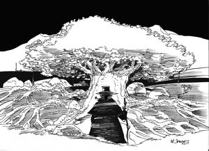 arbre