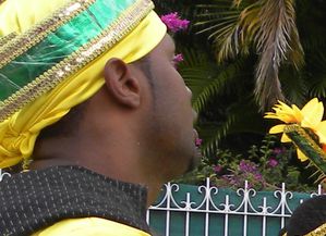 Carnaval-Petit-Bourg7-copie-1.JPG