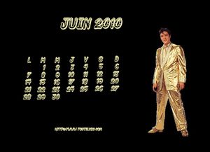 calendar toutelvis