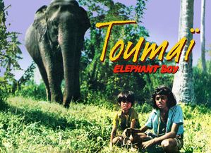 null Toumai-elephant-boy