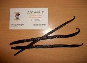 Zoe-vanille