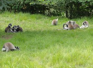 2010.0722.-038.jpg