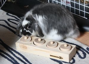 jouet einsteinchen 03