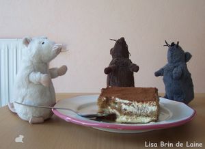 Tiramisu2
