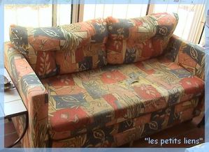 divan chien avant 1