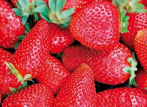 fraises-copie-1.jpg