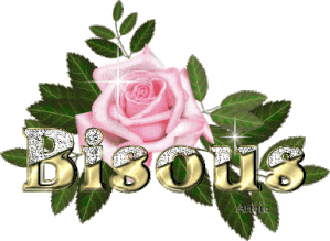 -cid_67761AA0-B65E-42F1-B6F7-7642FEE2C80E-copie-1.gif