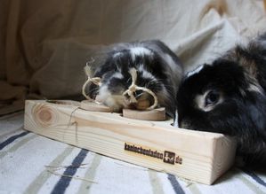 jeu-einsteinchen-01-mini.jpg