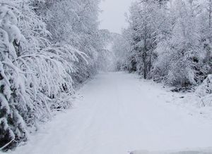 snow.JPG