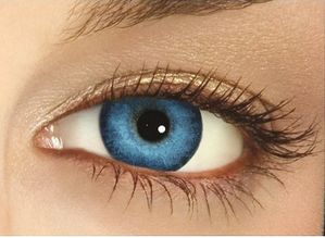 freshlook-dimensions-5463.jpg