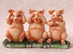 pigs-3.jpg